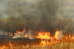 В Приморском крае введен особый противопожарный режим